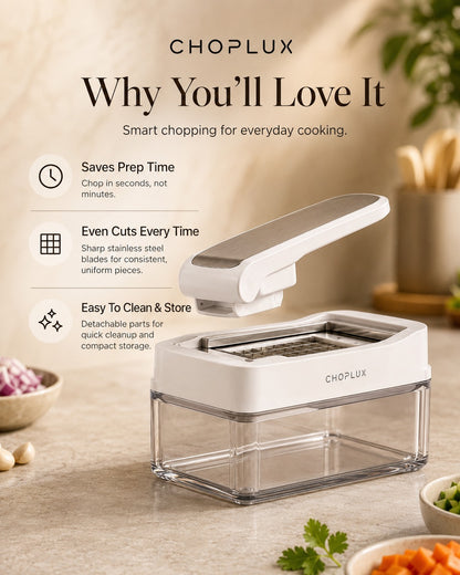 Multi-Function Vegetable Chopper with Stainless Steel Blades & Storage Container